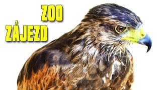 Zoo Zájezd