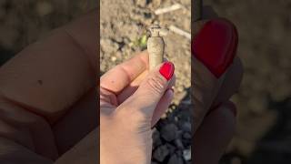 Свисток #впередуминуле #коп  #metaldetecting #копійчужка #коп2024