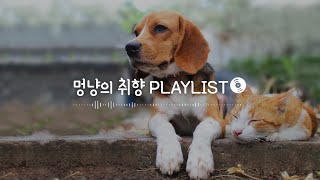 Playlistㅣ멍냥이 마음은 이미 봄🌸 하우스에 누워 듣는 반려동물 휴식 음악ㅣ강아지 고양이가 하루종일 들어도 좋아하는 음악 모음 (릴렉스 음악, 힐링 음악, 반려동물 수면음악)