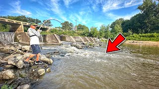 It Took Me 6 MONTHS To Land This SPILLWAY MONSTER!!! (Totally Freaked Out)