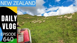 Benn goes for a ride over a farm [Life in New Zealand Daily Vlog #640]