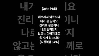 노래로 외우는 성경암쏭 시리즈 (요한복음 14:6) Music by Jerry Kim (feat. 손지우 어린이)