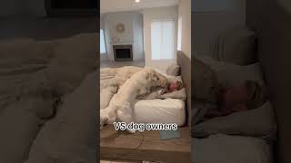 How People with Dogs wake up!