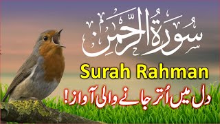 Surah Rahman Beautiful Recitation | Surah AR Rehman Tilawat | سورۃ رحمن | Trimedia Ep2450