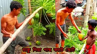 চাকু দিয়া গাছ কাটে ছোট