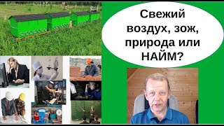 250 дней в году на работу по найму или 20-50 дней на пасеку и продажи. Ваш выбор?