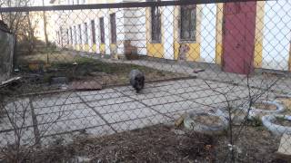 20140418 074117 советская улица в тосно