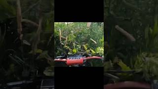 Stuck In The Long Grass! #subscribe #formorevideos #shortsfeed #2strokes #shortsviral #foryou #fyp