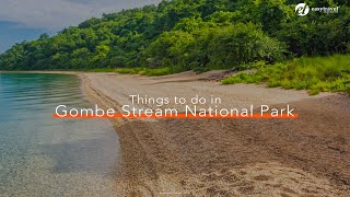 Things to do in Gombe Stream National Park. #unforgettable #tanzania #safari #tanzaniasafari #africa