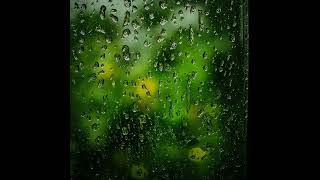 Raindrops on Window – Green Noise for Relaxation