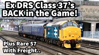 Ex DRS Class 37's, Class 88 Headed CONVOY, 805's in SERVICE Plus lots more LOCO Action! 03/06/24