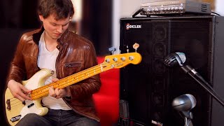 BASS ARRAY SERIES 2 by GENZLER AMPLIFICATION