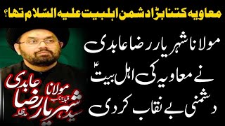 Mauvia & Ahlybait AS Allama Shaharyar raza abidi wilayat tv