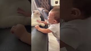 Cute Baby kissing pet 😻😍😍 | Cute Babies | Shorts #viral