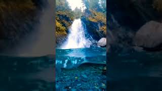 Relaxing Music With Nature Sound #shorts #viralshort #dcvmeditation