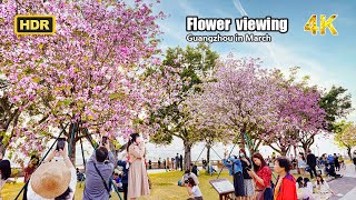 Walk along the flower street of Guangzhou in March | 4K HDR