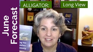 June Forecast with Animal Wisdom Oracle Cards Alligator "Time to take the long view"