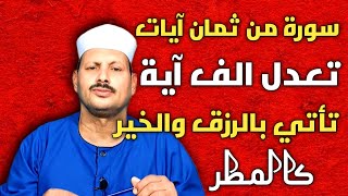 سورة من ثمان آيات تعدل الف آية تأتي بالرزق والخير كالمطر /ش. توفيق ابو الدهب