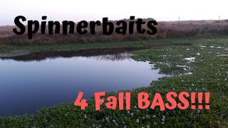 FALL BASS FISHING - Spinnerbait CONT. FUNNY BANK/BOAT FLIP!!!