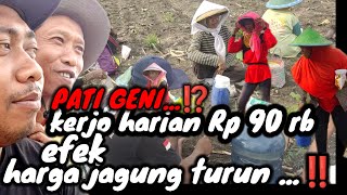 GAWATTT‼️PATI GENI ‼️KERJA HARIAN TINGGAL Rp90rb_EFEK HARGA JUAL TAHUN LALU TURUN