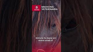 Medicina Veterinaria UNAB 2025 #shorts