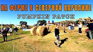 На тыквенной ферме в Северной Каролине. Осенние выходные для детей. Pumpkin Patch.