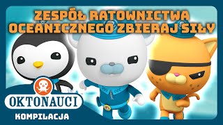 Oktonauci - 🐻‍❄️😼🐧 Zespół ratownictwa oceanicznego zbieraj siły!  🌊 | Kompilacja | Całe odcinki