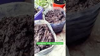 Antes y después #compost #vermicompost #reciclaje