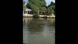 Manatee's at Jackie's Cottage on Anna Maria Island