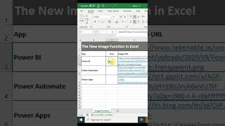 The New IMAGE Function in Microsoft Excel || Insert Image in Cells in Microsoft Excel