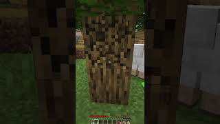 Minecraft but you subscribe world border shrink #shorts #ytshorts