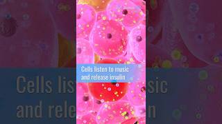 Cells listen to music and release insulin