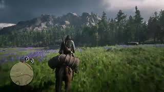 RDR2 (random hunts)