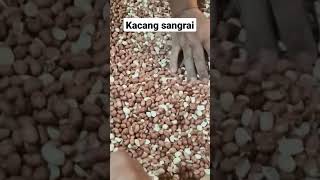 Kacang sangrai #shorts