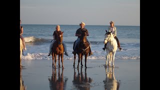 Our friends and their horses