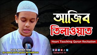 আহ! কি আজিব তিলাওয়াত || Hafez Mahmudul Hasan || মারকাযু ফয়জিল কুরআন Most beautiful Quran recitation