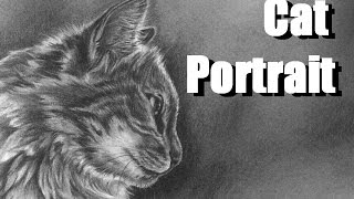 Video Drawing Series 02 - Cat Portrait