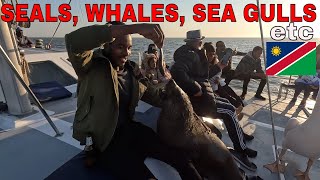 Incredible Boat Cruise in Walvis Bay, Namibia – Seals and Sea gulls climb on our Boat #boatcruise