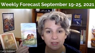 Animal Wisdom Tarot Deck Weekly Forecast September 19-25 Stay true to yourself