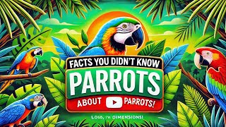 Amazing Facts About Parrots | Parrot Video