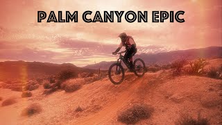 First Ride at Palm Canyon Epic Trail, Mountain Biking California (PCE)