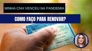 Qual o prazo para renovar minha CNH ou PPD que venceu em 2020?