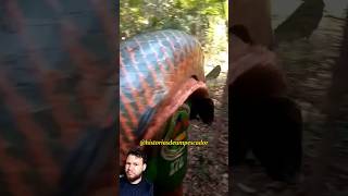 😨 #viral #fishing #pescador #shortvideos #pescaria #pesca #viralvideos