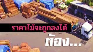 Forestbook EP50 : Forest Talk คมวิทย์1 -ไม้ทองคำ