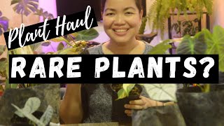 Plant Haul (Rare Plants?) Philippines | Plant Shopping | EP 27