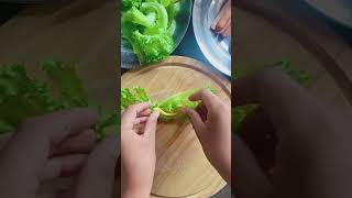 Salad roll dari sayur #shorts #youtubeshorts #kebun #sayur