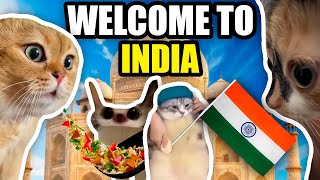 CAT MEMES: LET'S GO TO INDIA