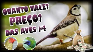 QUANTO VALE MEU PÁSSARO? PREÇO DAS AVES! #PARTE 04