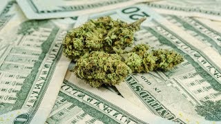 States Benefiting From Cannabis Taxes