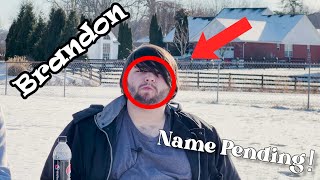 Name Pending - Brandon